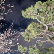 ヒメ日記 2025/04/03 02:16 投稿 しま 奥様鉄道69 仙台店