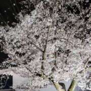 ヒメ日記 2025/04/04 00:16 投稿 しま 奥様鉄道69 仙台店