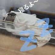 ヒメ日記 2025/06/10 03:36 投稿 しま 奥様鉄道69 仙台店