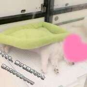 ヒメ日記 2025/07/13 03:06 投稿 しま 奥様鉄道69 仙台店