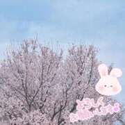 ヒメ日記 2024/04/05 17:31 投稿 すみれ Sakura Spa