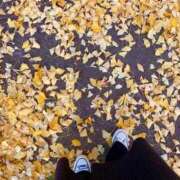 ヒメ日記 2024/12/17 17:45 投稿 ゆりあ 小岩人妻花壇