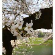 ヒメ日記 2025/04/10 14:33 投稿 ゆりあ 小岩人妻花壇