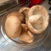 ヒメ日記 2025/10/18 14:15 投稿 ゆりあ 小岩人妻花壇