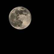 ゆりあ 寒いけど 小岩人妻花壇