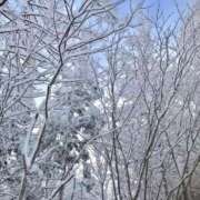 ヒメ日記 2026/02/06 14:39 投稿 ゆりあ 小岩人妻花壇