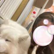 ヒメ日記 2025/08/19 08:07 投稿 もか ハッピーブリッジ