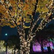 ヒメ日記 2025/11/28 22:04 投稿 青崎 のあ Men's relaxation VEGA