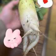 ヒメ日記 2025/11/17 12:28 投稿 こまち 茨城龍ヶ崎取手ちゃんこ