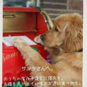 ヒメ日記 2024/12/24 13:14 投稿 天海小雪 五十路マダム静岡店（カサブランカG）