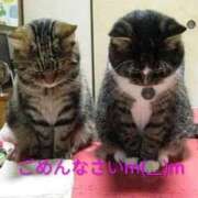 ヒメ日記 2026/03/06 11:40 投稿 天海小雪 五十路マダム静岡店（カサブランカG）