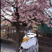 ヒメ日記 2026/03/03 08:24 投稿 なるせ New Sky