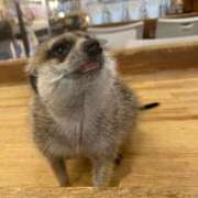 ヒメ日記 2025/05/20 21:03 投稿 ルナ AMOUR（アムール）