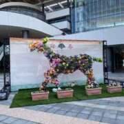 ヒメ日記 2025/06/27 23:05 投稿 ルナ AMOUR（アムール）