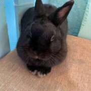 ヒメ日記 2025/08/17 23:43 投稿 ルナ AMOUR（アムール）