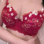 ヒメ日記 2025/11/24 08:44 投稿 ルナ AMOUR（アムール）