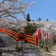 ヒメ日記 2026/04/03 13:44 投稿 ルナ AMOUR（アムール）