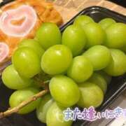 ヒメ日記 2025/08/14 20:03 投稿 板倉りず 厚木OL委員会