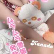 ヒメ日記 2026/02/11 15:23 投稿 カナデ AMOUR（アムール）