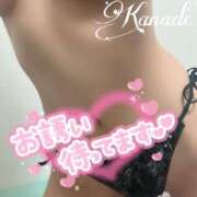 ヒメ日記 2026/02/25 03:08 投稿 カナデ AMOUR（アムール）