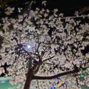 ななお奥様 こんにちは 人妻です