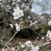 ヒメ日記 2026/04/01 14:22 投稿 はるな マドンナSANSAIN