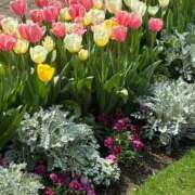 ヒメ日記 2026/04/08 18:19 投稿 はるな マドンナSANSAIN