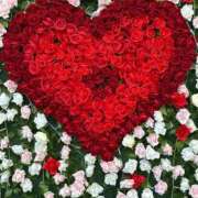 はるな 出勤✨ マドンナSANSAIN