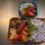 はるな はるな弁当🍱 マドンナSANSAIN