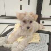 ヒメ日記 2024/12/31 09:35 投稿 みほ 池袋おかあさん