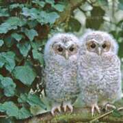 ヒメ日記 2025/01/15 08:04 投稿 みほ 池袋おかあさん