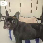 ヒメ日記 2025/01/20 08:15 投稿 みほ 池袋おかあさん