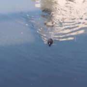 ヒメ日記 2025/01/23 08:22 投稿 みほ 池袋おかあさん