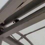 ヒメ日記 2025/01/27 09:14 投稿 みほ 池袋おかあさん