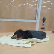 ヒメ日記 2025/01/27 22:54 投稿 みほ 池袋おかあさん