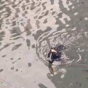 ヒメ日記 2025/01/30 08:13 投稿 みほ 池袋おかあさん