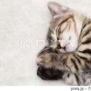 ヒメ日記 2025/02/09 23:44 投稿 みほ 池袋おかあさん