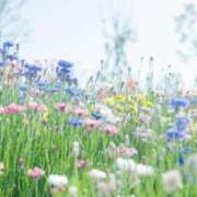 ヒメ日記 2025/02/14 08:04 投稿 みほ 池袋おかあさん