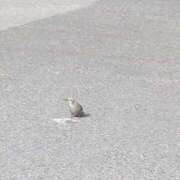 ヒメ日記 2025/02/15 09:14 投稿 みほ 池袋おかあさん