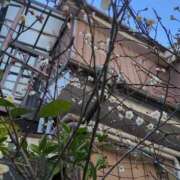 ヒメ日記 2025/02/23 09:14 投稿 みほ 池袋おかあさん