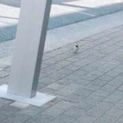 ヒメ日記 2025/02/25 09:43 投稿 みほ 池袋おかあさん