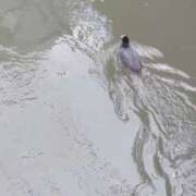 ヒメ日記 2025/03/29 17:24 投稿 みほ 池袋おかあさん