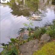 ヒメ日記 2025/04/10 10:44 投稿 みほ 池袋おかあさん