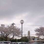 ヒメ日記 2025/04/10 17:44 投稿 みほ 池袋おかあさん