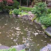 ヒメ日記 2025/04/12 10:04 投稿 みほ 池袋おかあさん