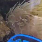 ヒメ日記 2025/04/23 09:04 投稿 みほ 池袋おかあさん