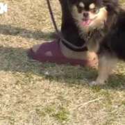 ヒメ日記 2025/04/24 10:04 投稿 みほ 池袋おかあさん