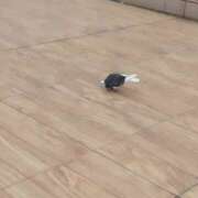 ヒメ日記 2025/04/26 09:54 投稿 みほ 池袋おかあさん