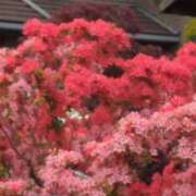 ヒメ日記 2025/04/27 09:54 投稿 みほ 池袋おかあさん