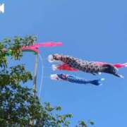 ヒメ日記 2025/05/05 10:06 投稿 みほ 池袋おかあさん